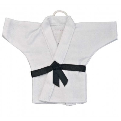 mini karate suit